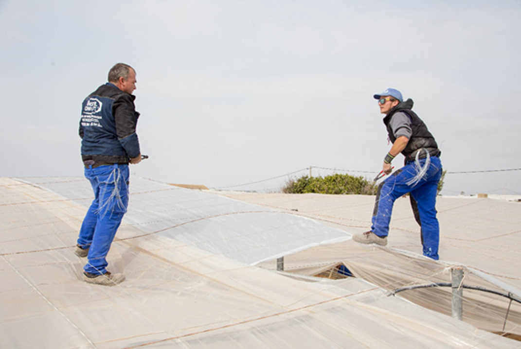 cs - martin brothers climbing on roof.jpg