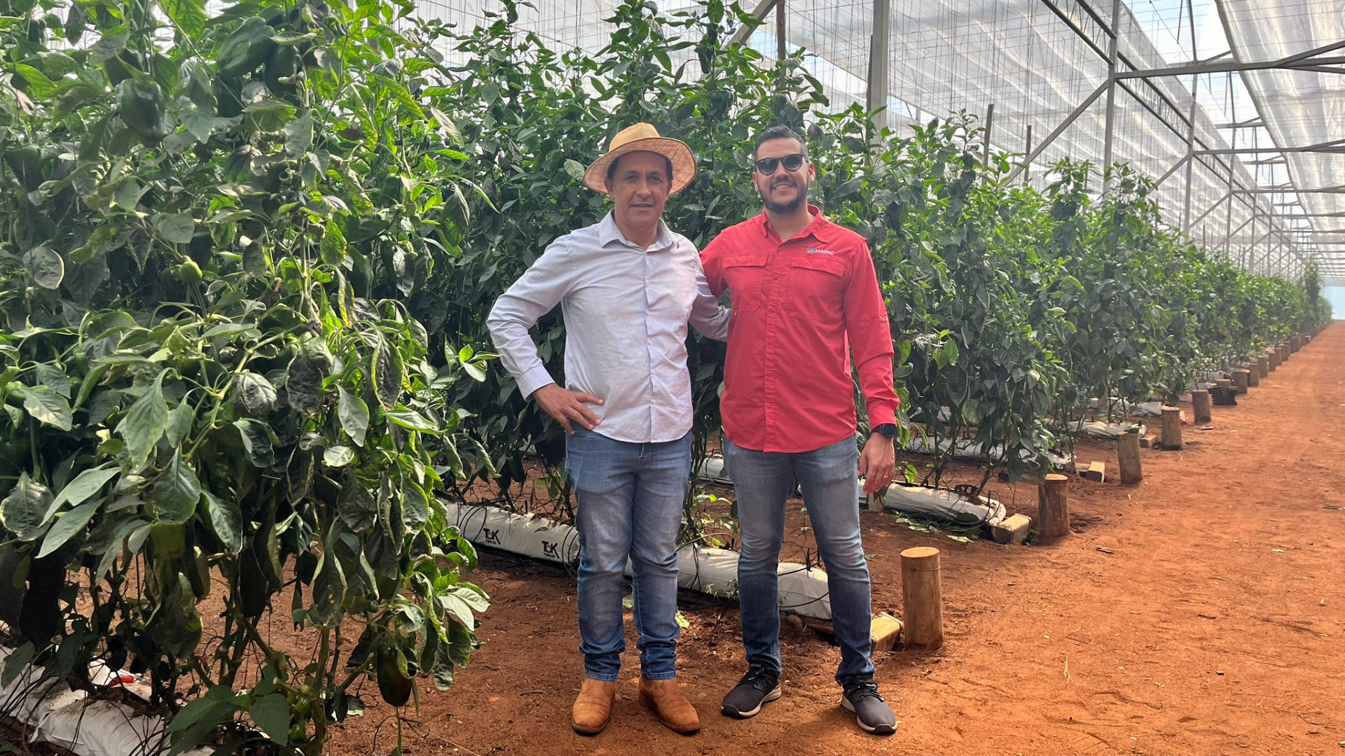 CS - Reynaldo Almeida - Brazil - Peppers - Hot Climate - Alan Falomir.png