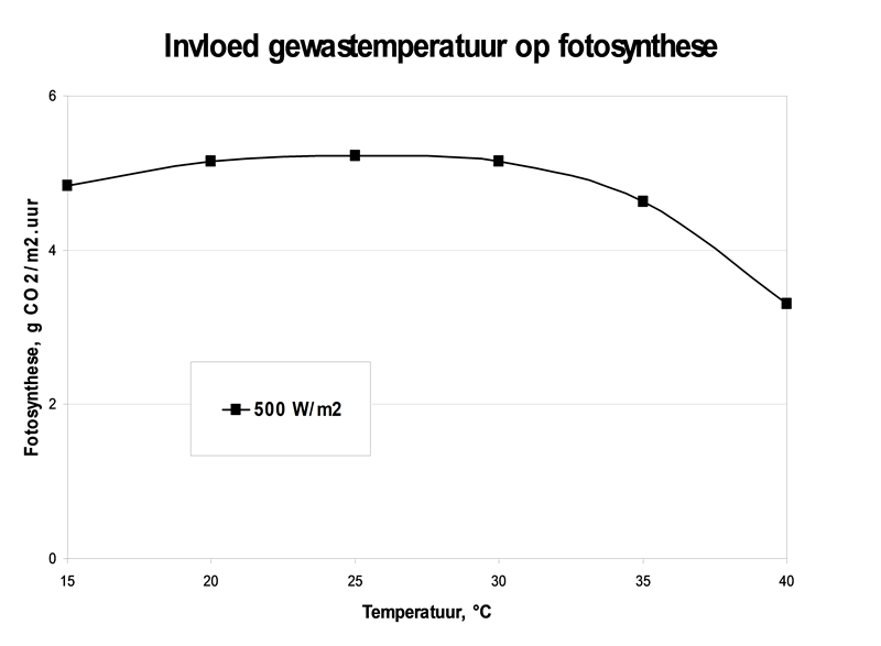 CS2026 fotosynthese NL.png