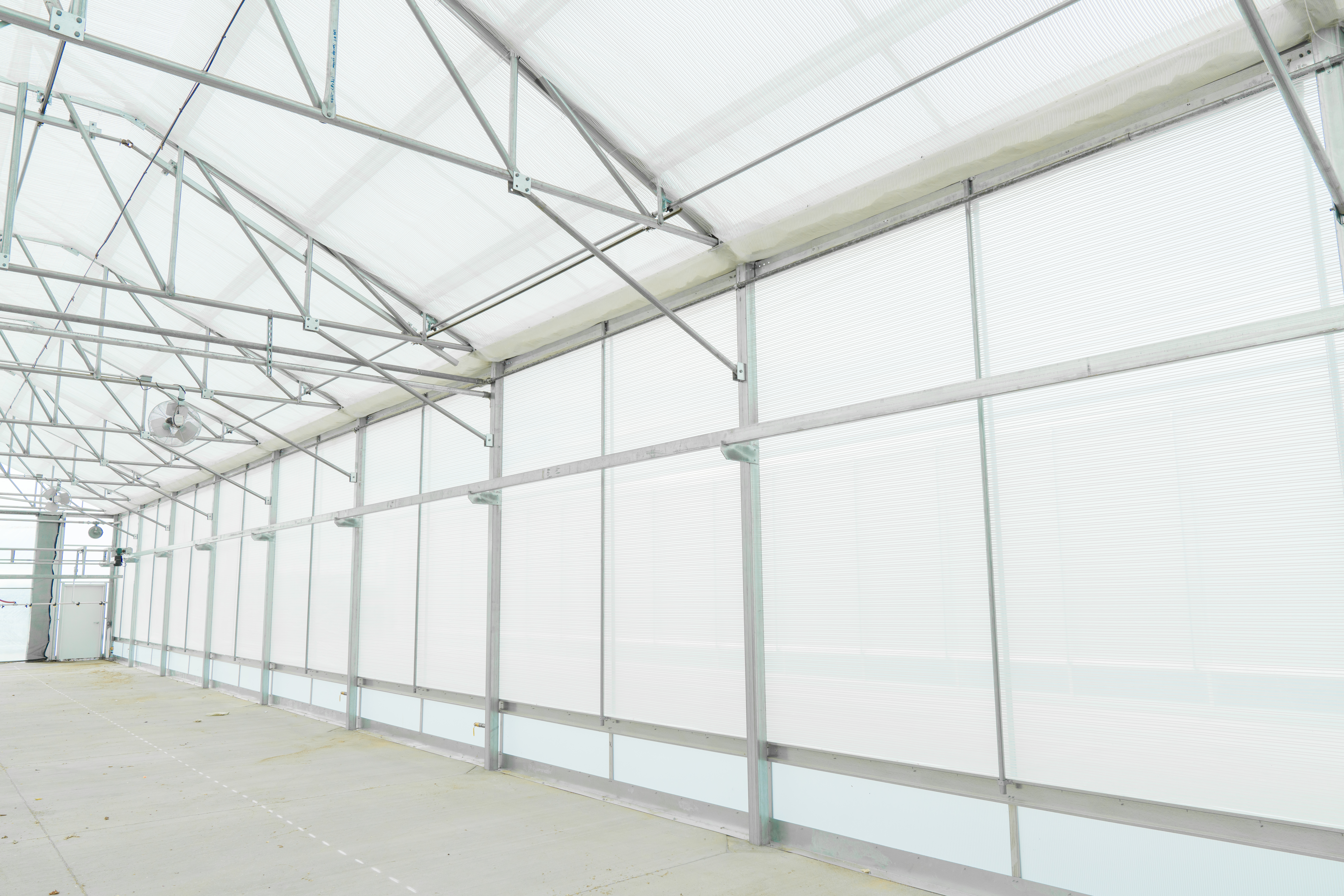 CS - Sunridge Nurseries - United States - California - Wine Vines - Harmony