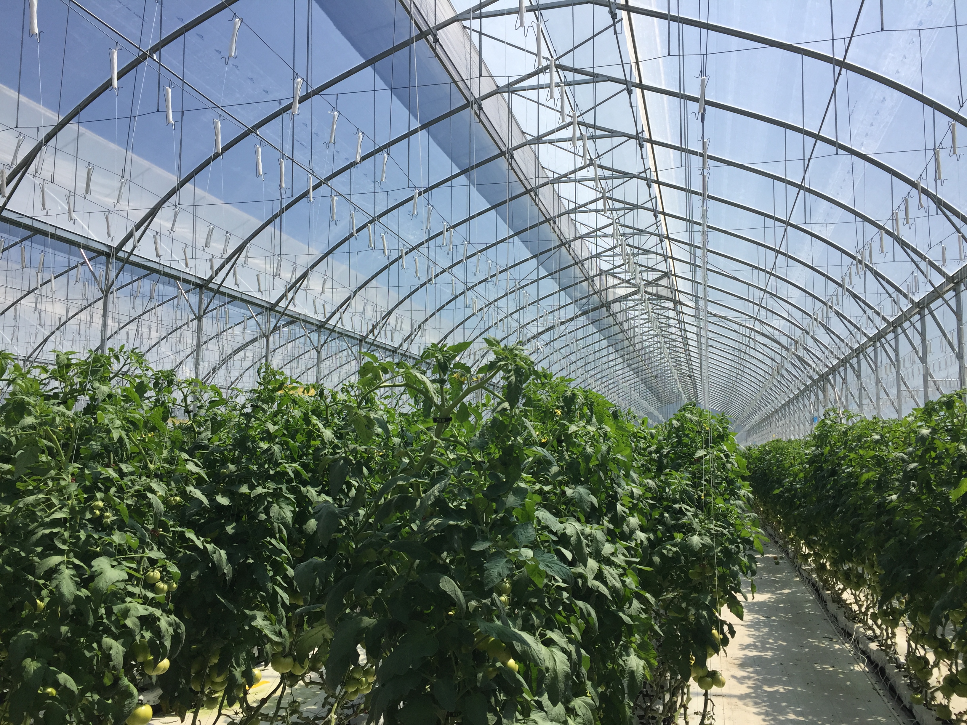 cs-el-chapoteadero full shot.jpg