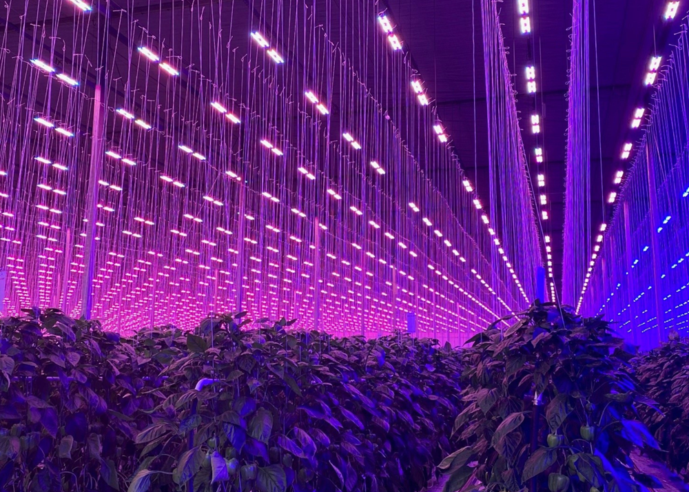 CS - Highlights - Ontario 2.png