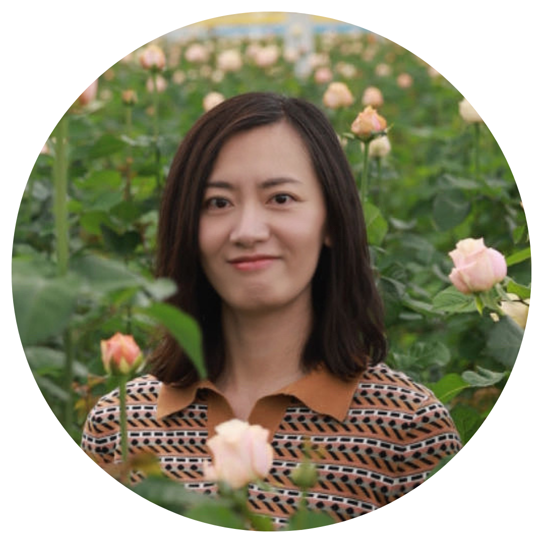 CS - Ying Ying - China - Roses - Profile Pic.png