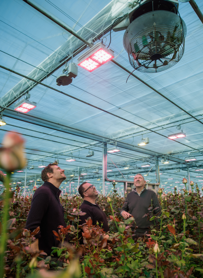 CS - Marjoland - Case Card - Small - Roses.png