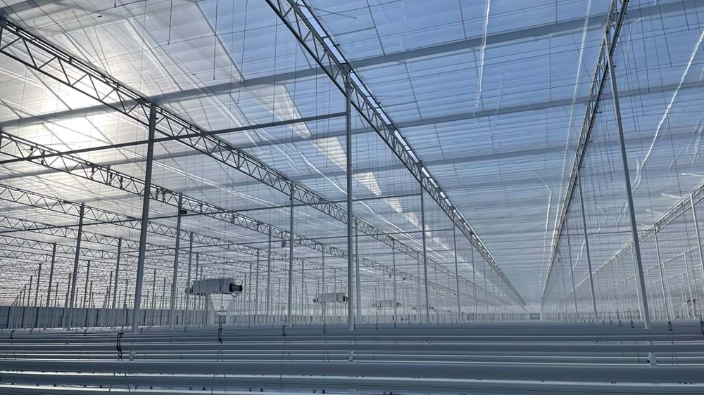 CS - schenkeveld - greenhouse new clean