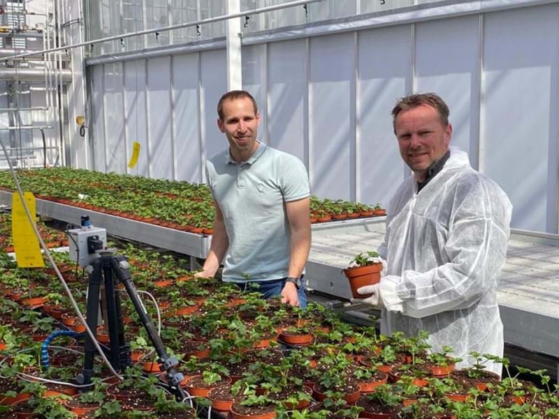 CS2026 PARperfect NL.jpg