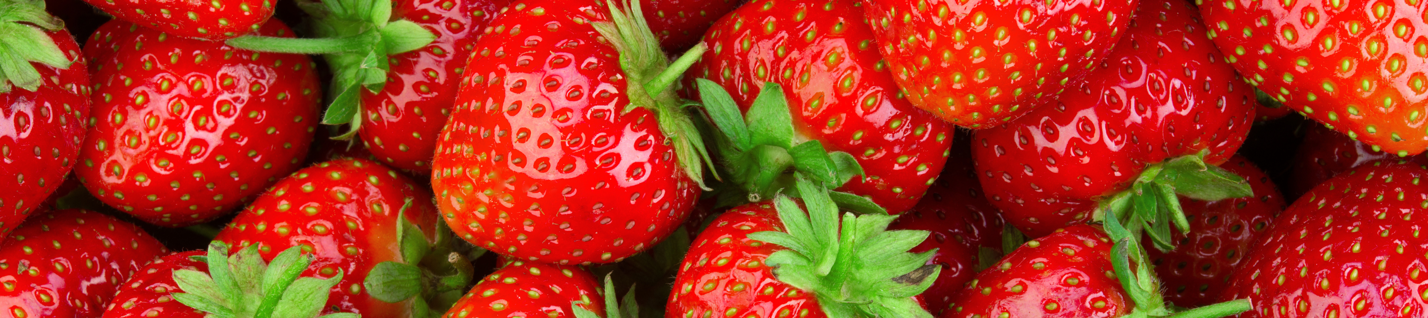 CS_Berry Hill_Jalisco_Mexico_Strawberries.png (1)