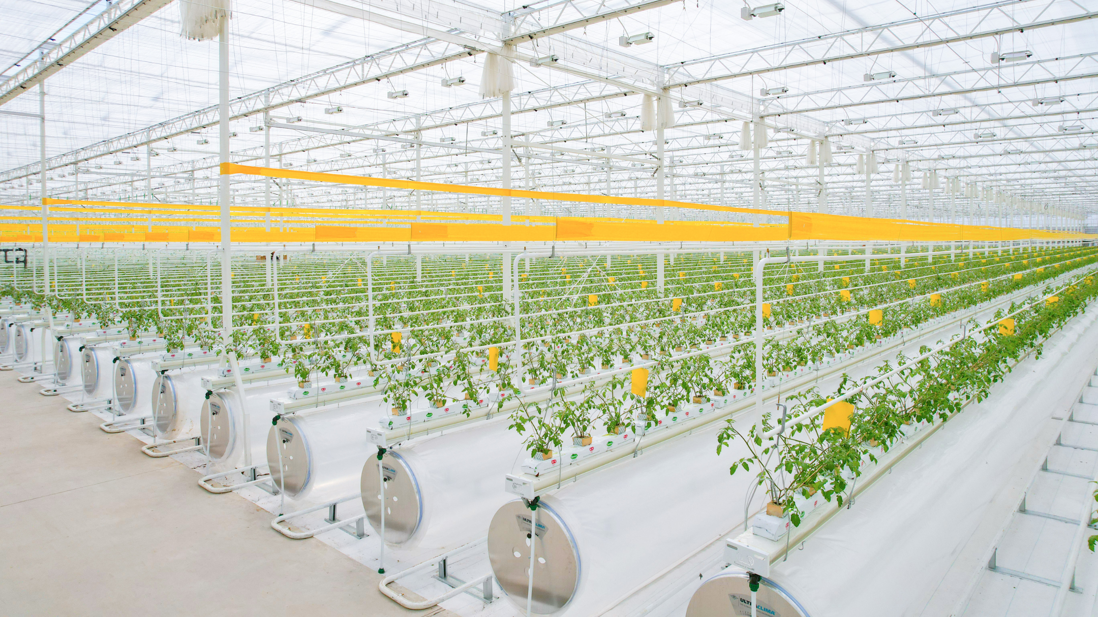 CS - Haoyu Group - Tomatoes - Luxous - Harmony - Energy Monitor - China.png