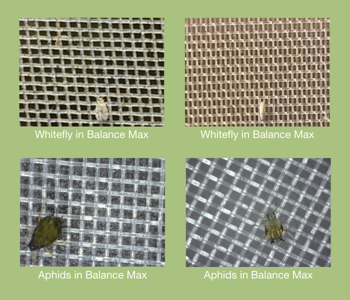 CS - Hightlights - Xsect nest agroradio.png