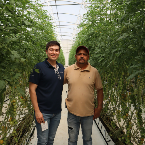 CS - Frutos de Jalisco - Hector Parra and Juan Pablo Palacio - Tomato - Mexico