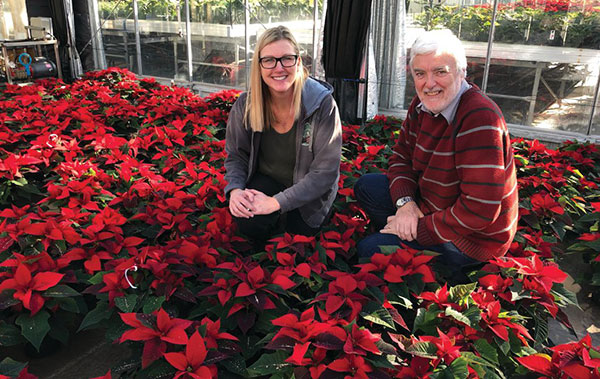 CS - Highlights - Energy Curtains - Poinsettia.jpg