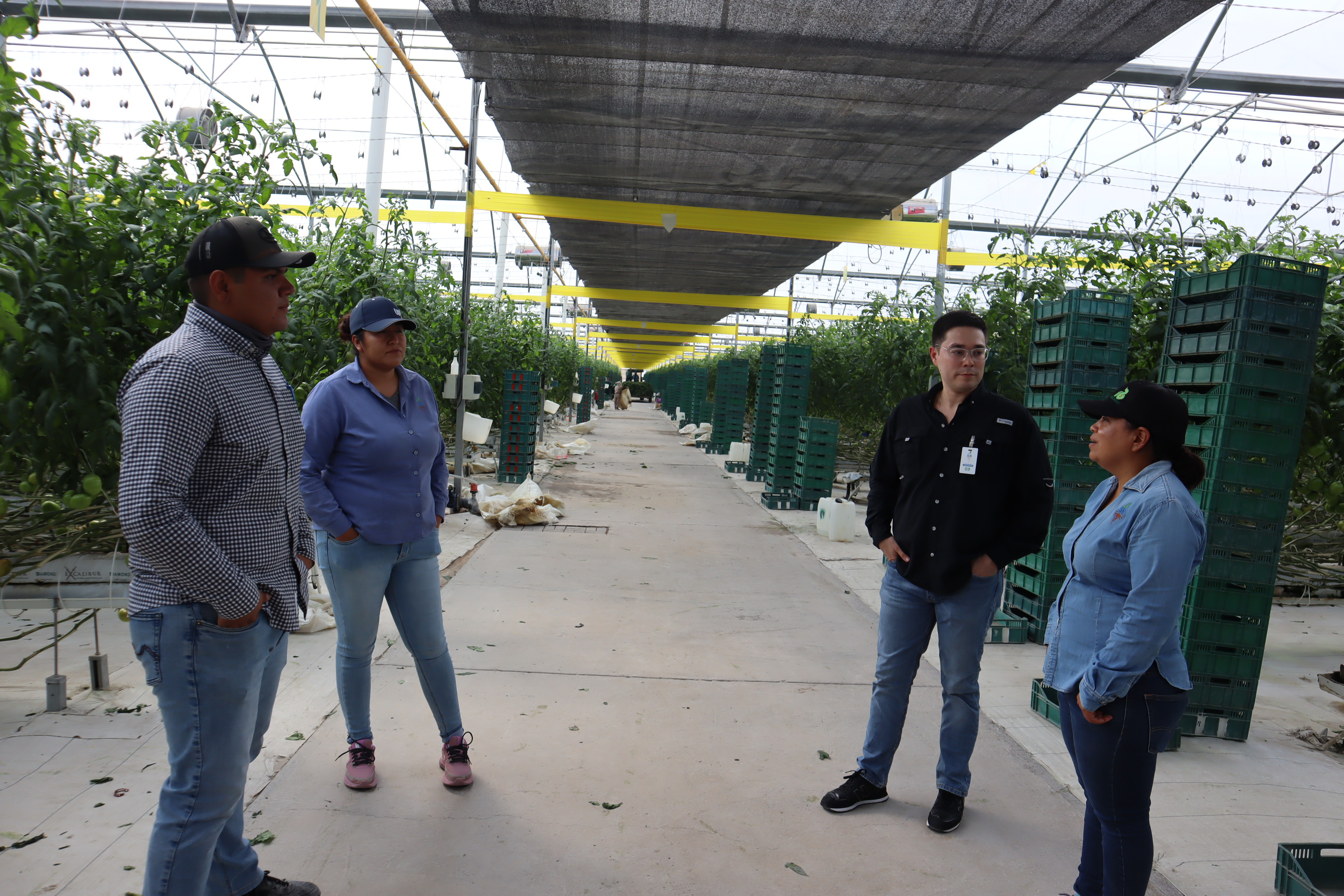 CS - Guanajuato - Santo Domingo - Team - Tomato.JPG