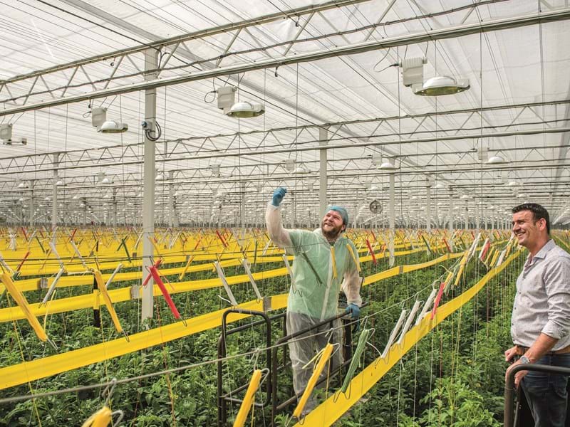 CS2026 innovattiver DE.jpg