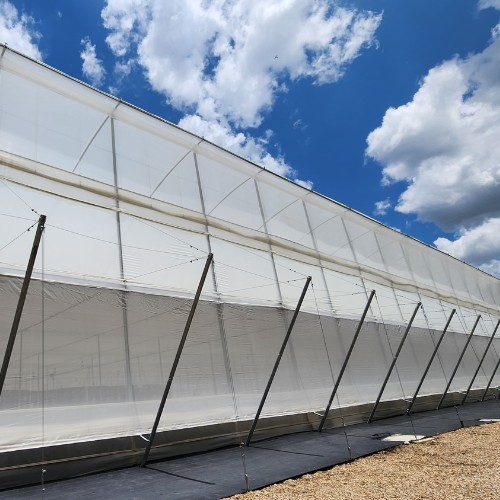 cs - darwin-colombia-2.jpeg