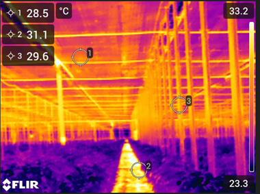 CS - Hightlights - Thermo Camara 2.png