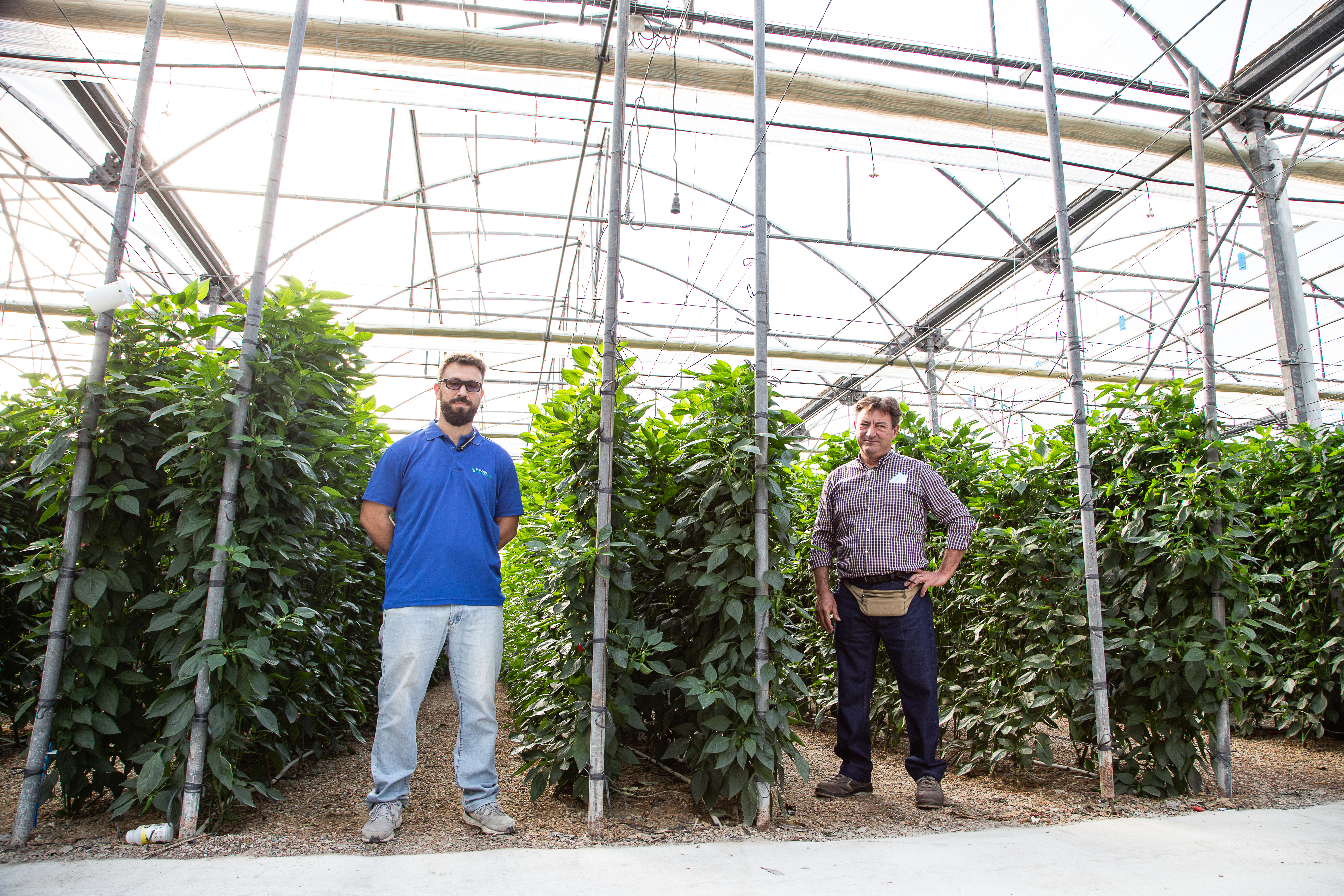 CS - Natural Banos - Spain - 2020 - Growers.jpg