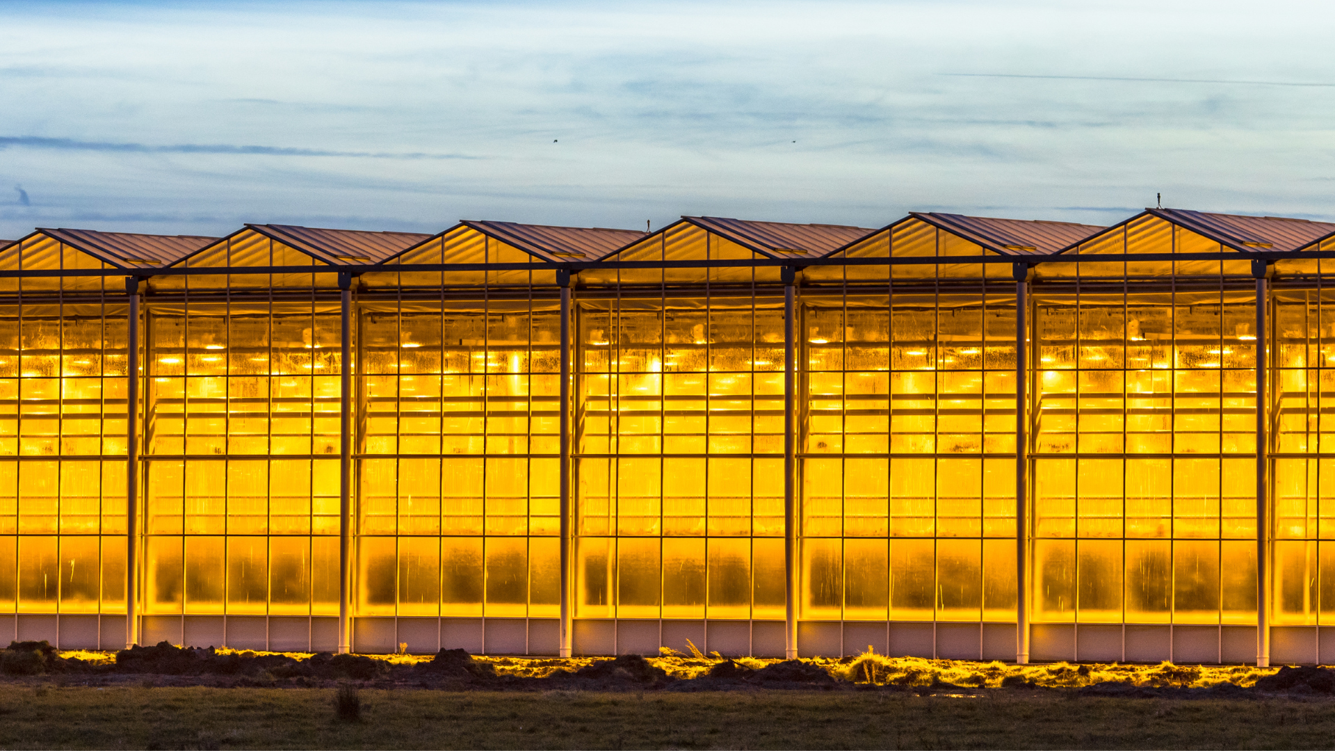 CS - Light Abatement - Keeping it Lit - 2020.png