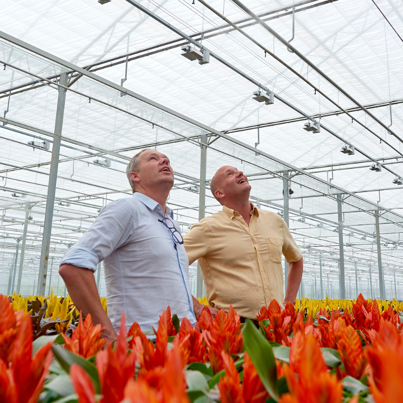 CS - Bart Bakker - Flowers - Grower and Consultant - Advisory.png