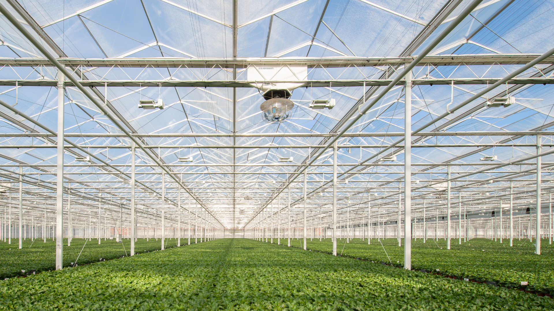 CS - ClimaFlow - Harmony - Lankhaar - Netherlands - Glasshouse.png