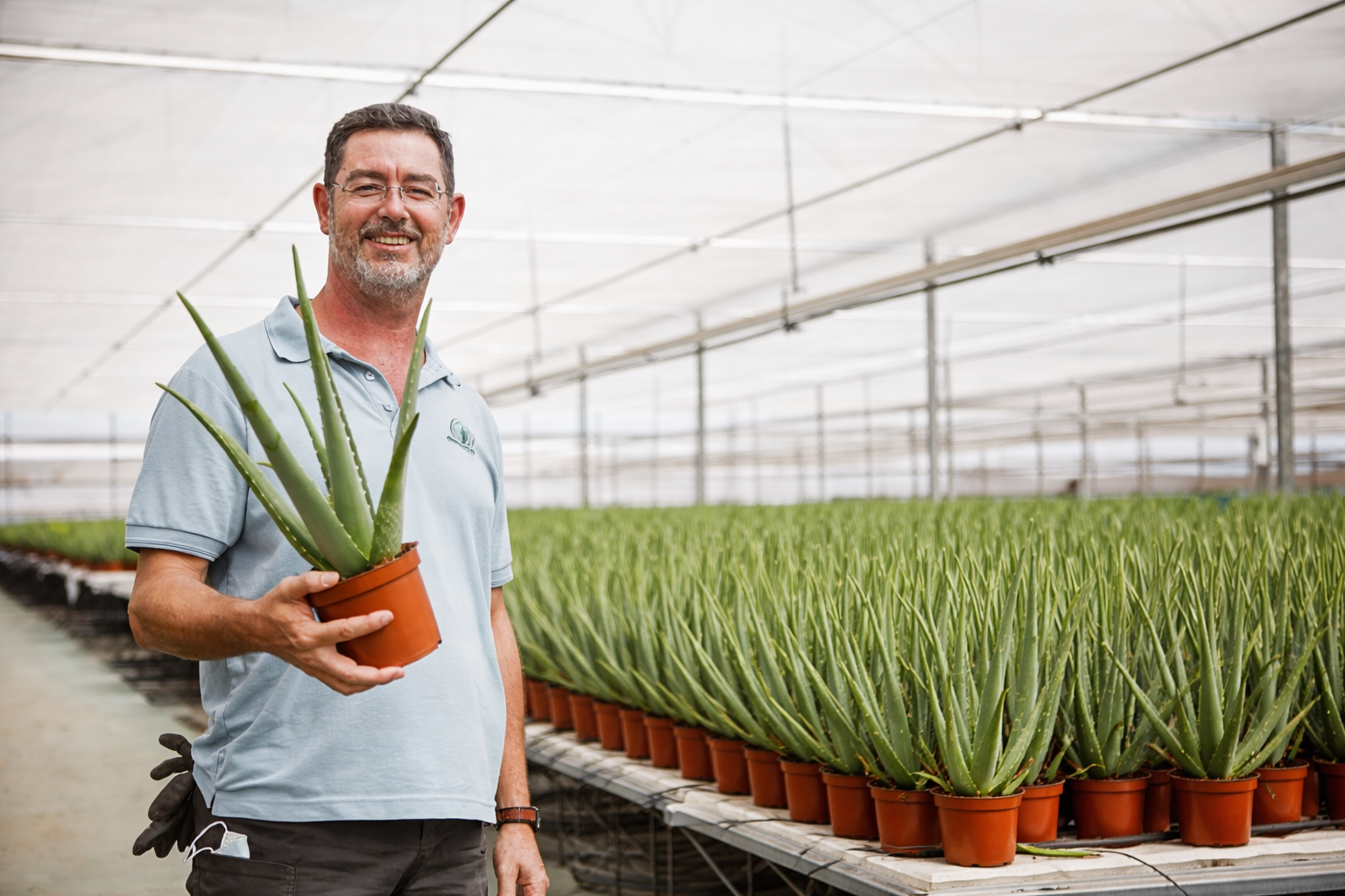cs - plantos del cabo grower holding aloe ornamental.png