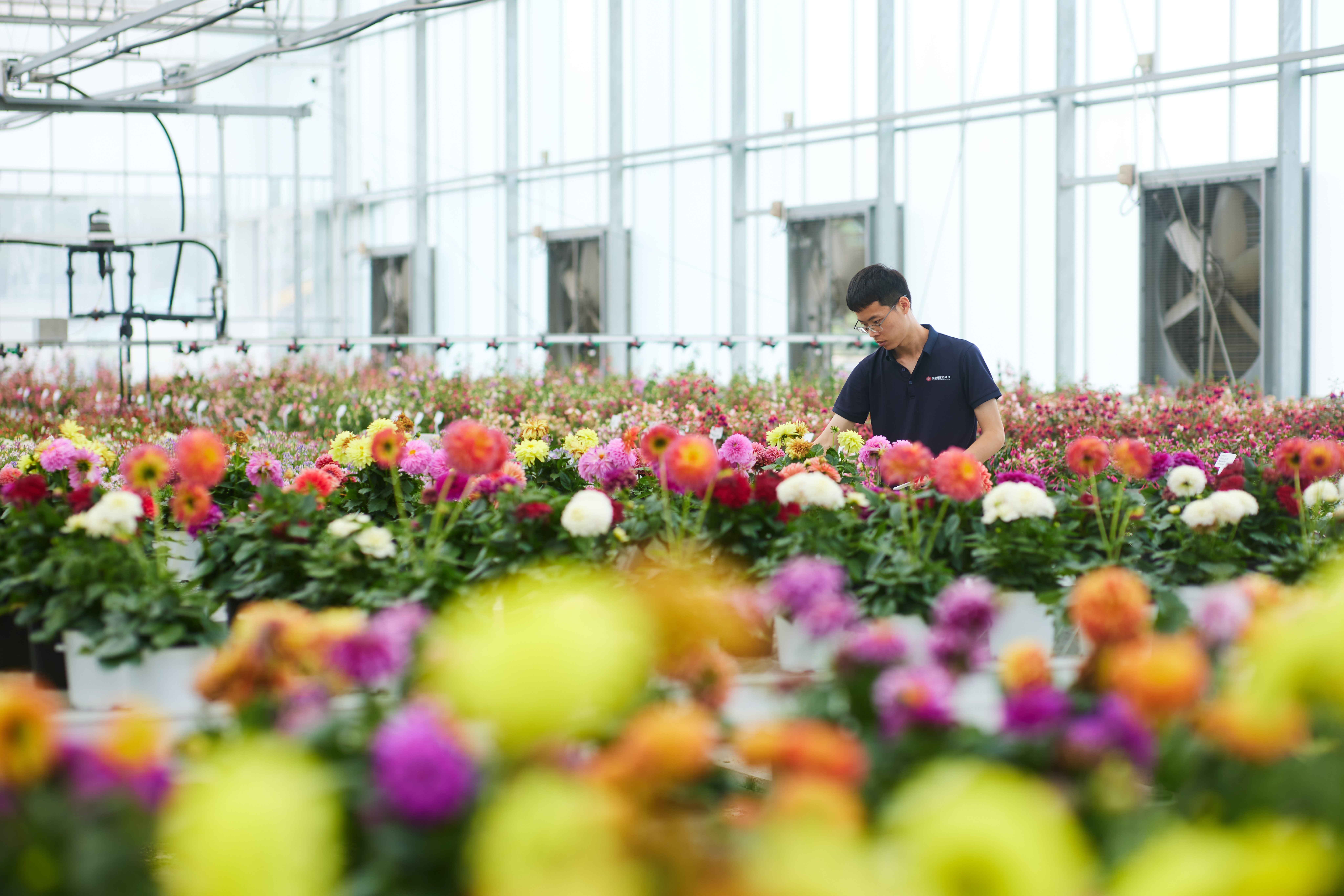 CS - Tangchao - grower - Flowers - PARperfect - China