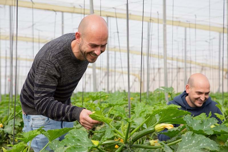 cs - martin brothers.jpg