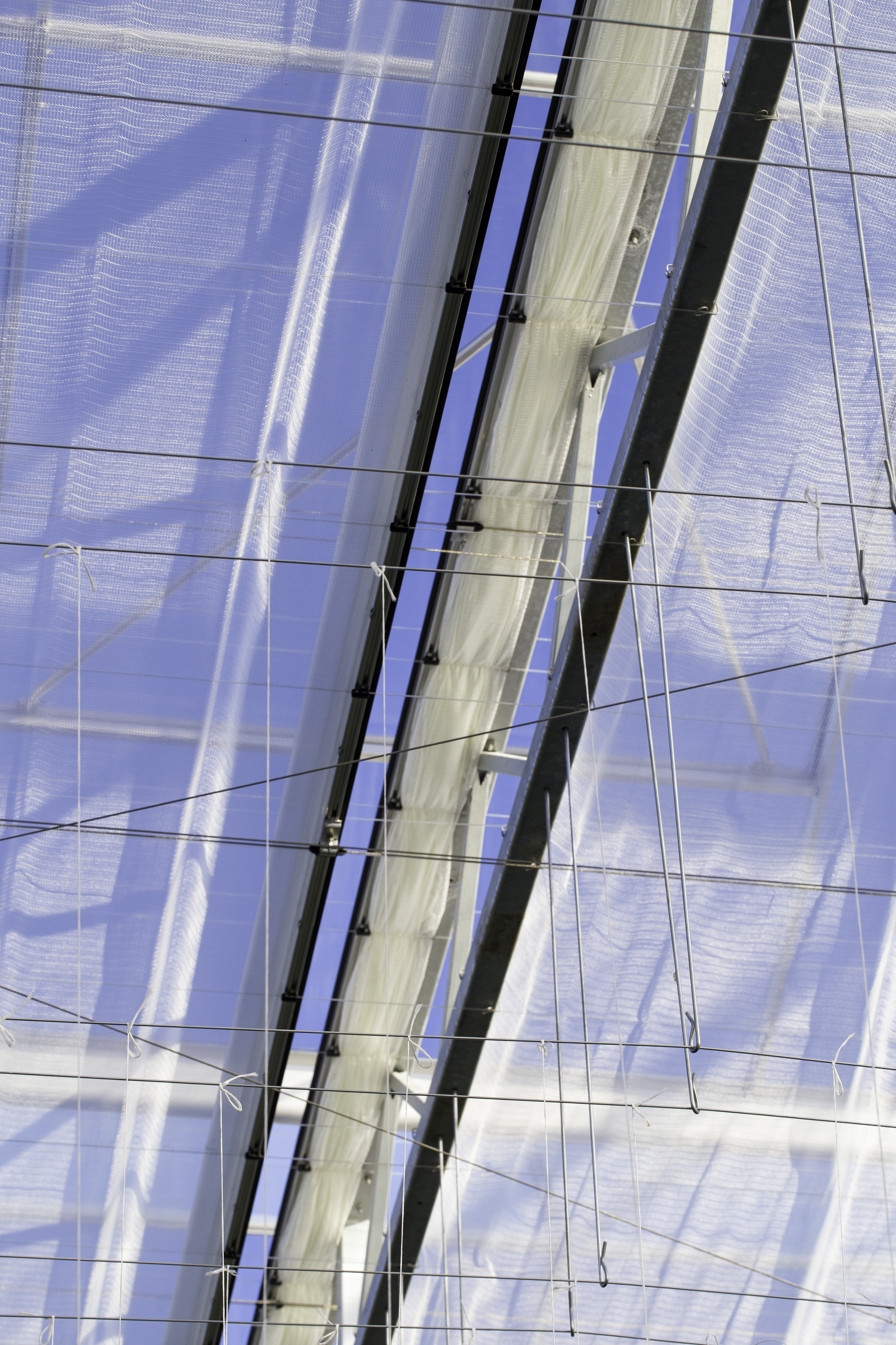 CS - Highlights - Greenhouse - Screen - Luxous H2no.jpg