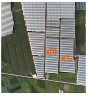 greenhousefourandsix.webp