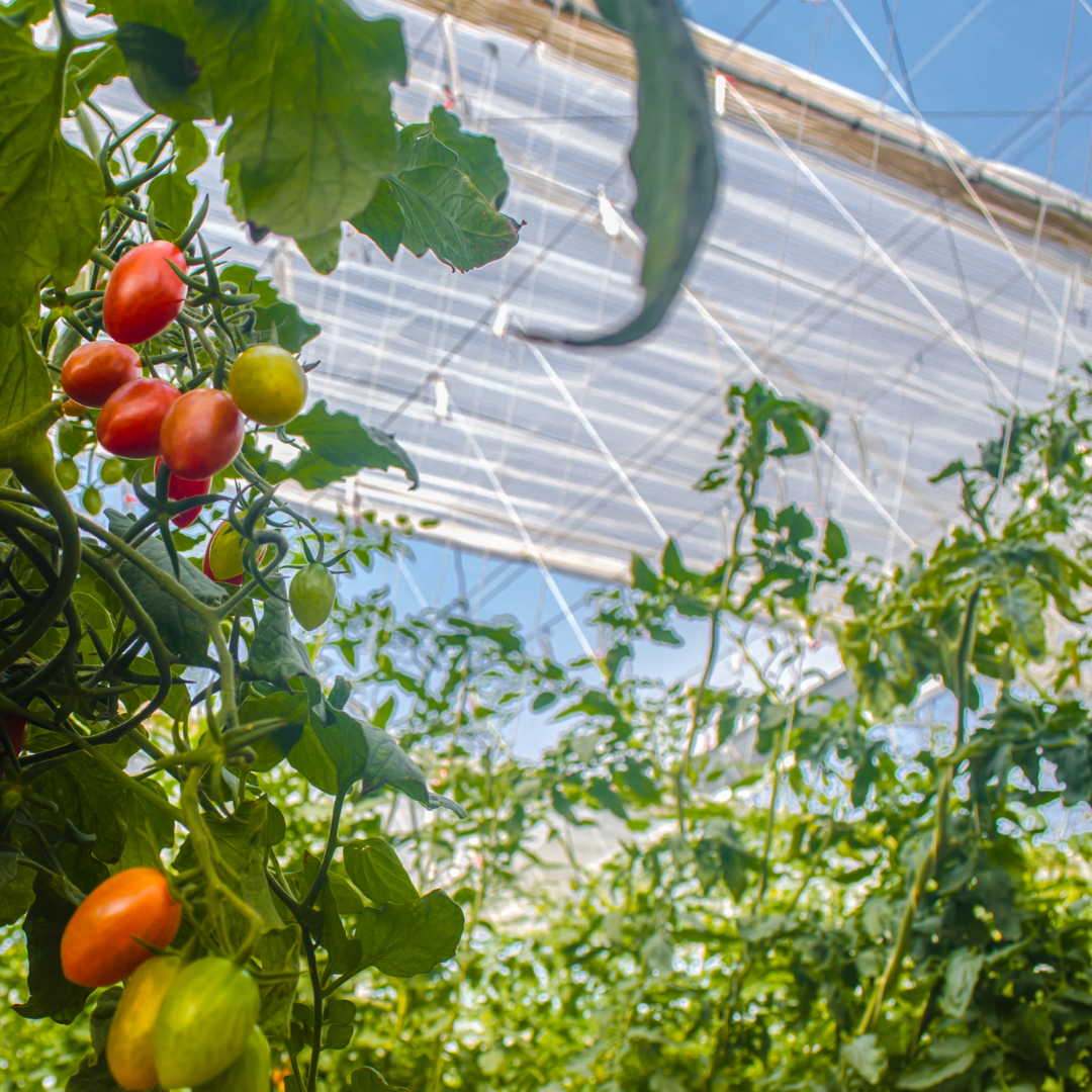 CS - Hightlights - Warmzone CTA.png