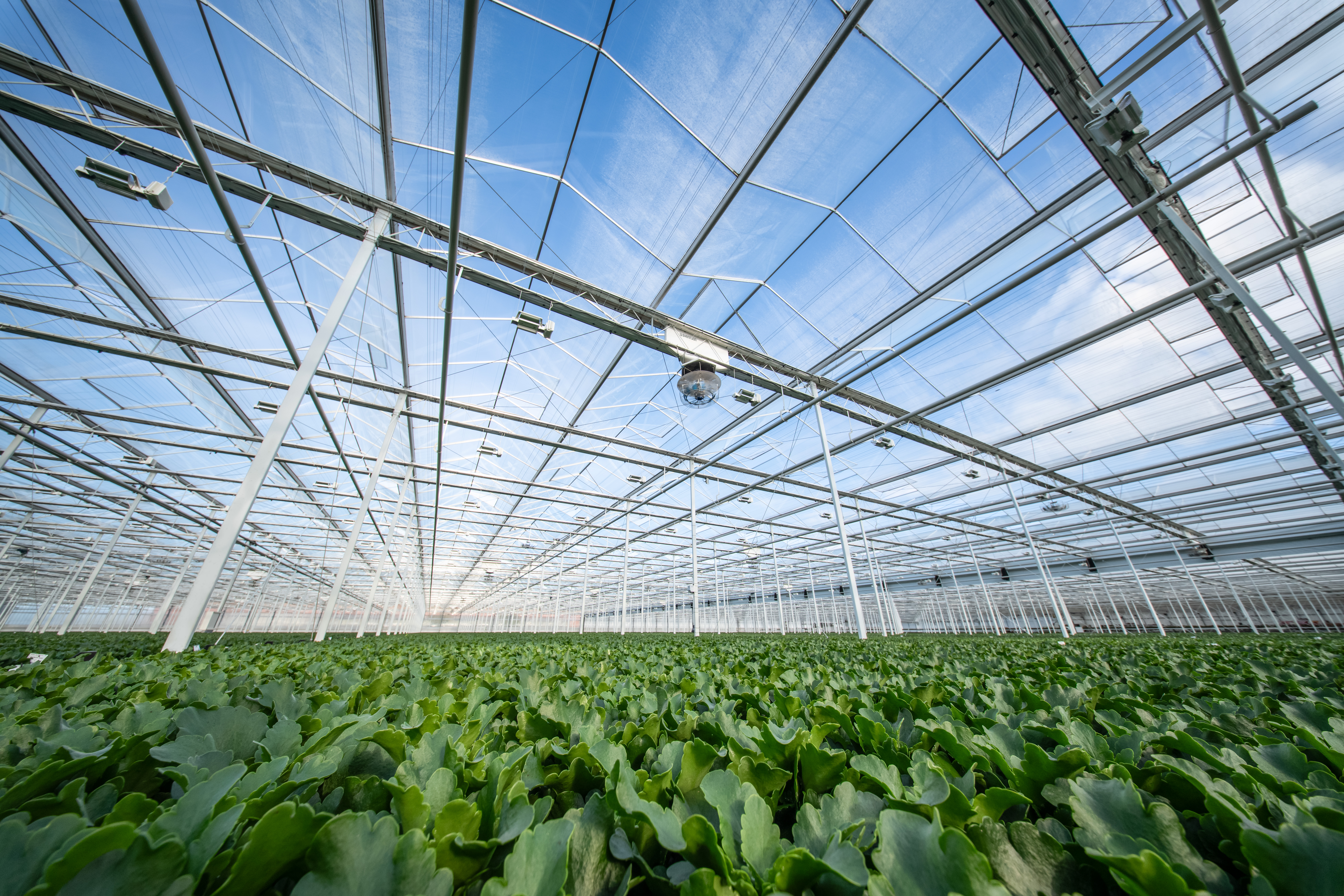 CS - Climaflow - Harmony - NL.jpg